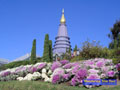 Visit King&Queen pagoda